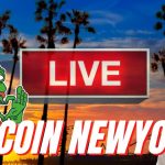 🎙️ビットコインニューヨーク公式ライブ🎙️🐂ブルマーケットスタート特集🐂気軽に遊びに来てください😚【初めての方でも大歓迎】JP 11/06 10:15am US 11/5 18:15pm UTC