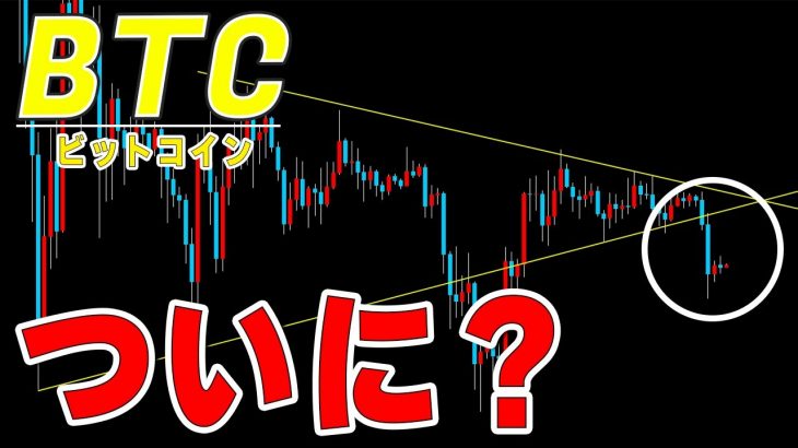 【仮想通貨ビットコイン】週明けから下落。ついにセリクラが起こる？