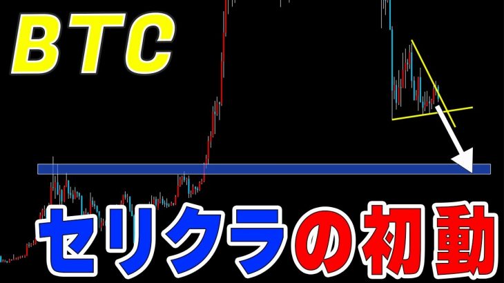 【仮想通貨ビットコイン】急落。忍び寄るセリクラに向かう可能性