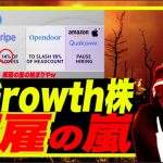 【解雇の嵐w】アメリカGrowth株の解雇7000人以上でヤバいw LinkedIn, Amazon, Twitter, Twitter, Booking.com