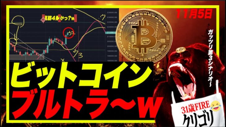 【ブルトラきてるぅ〜w】ビットコイン理想のブルガモ狩りきてるぅ〜w それを気づかないブルガモホイホイはこの上げを「逆神」というw