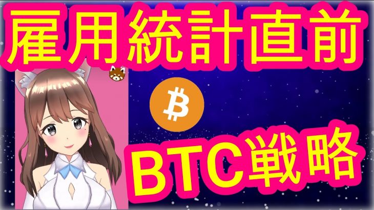 12/02【仮想通貨】BTC相場分析♡5分で聞ける♪インスタは説明欄から登録してね↓↓↓サクッと見れる♪通勤前や寝る前のインプットにおすすめ♡