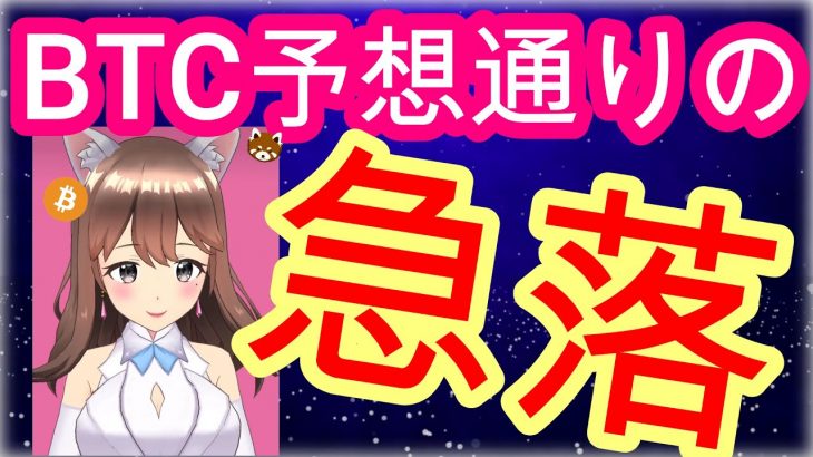 12/16【仮想通貨】BTC相場分析♡5分で聞ける♪インスタは説明欄から登録してね↓↓↓サクッと見れる♪通勤前や寝る前のインプットにおすすめ♡