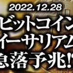 ビットコイン・イーサリアム急落予兆！？［2022/12/28］【仮想通貨・BTC・ETH・FX】※2倍速推奨