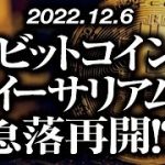 ビットコイン・イーサリアム急落再開！？［2022/12/6］【仮想通貨・BTC・ETH・FX】※2倍速推奨