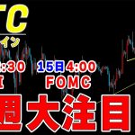 【仮想通貨ビットコイン】来週のファンダでの急落には警戒