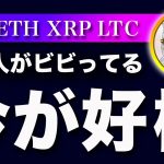 【今チャンス！】ビットコイン・日本の投資家が怖気ずいてます！こういう時がチャンス！【仮想通貨・戦略を先出しで毎日更新】