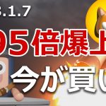 ソラナ初の犬コインが495倍に爆上げ！買えば億万長者か？BONK