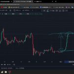 今回のビットコインの爆上げ原因の考察【5000億円の先物買い仕掛けたクジラの気持ちになって考えてみた】_2023/01/16