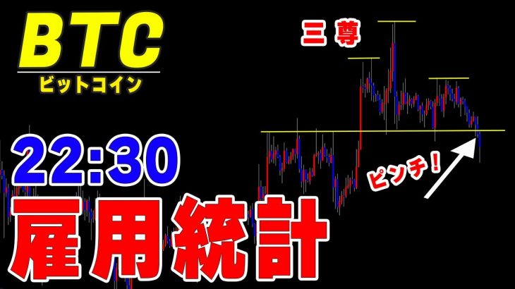 【仮想通貨ビットコイン/BTC】市場は大混乱？！本日22:30重要ファンダ雇用統計の発表。雇用統計について解説