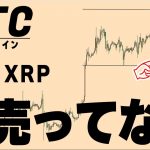【仮想通貨BTC,ETH,XRP】テスラとイーロンマスク売ってない