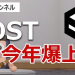 IOSTは今年爆上げするのか検証しました
