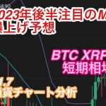 【仮想通貨チャート分析】大注目！MATICの今後、ビットコイン、リップル、ライトコイン相場分析　MATIC BTC LTC XRP
