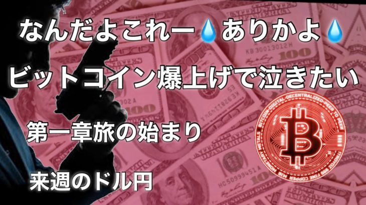 ビットコイン爆上げ　なんだよこれ💦ありかよ…  来週のドル円分析