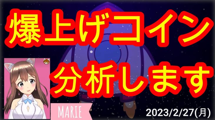 02/27【仮想通貨】爆上げコインの相場分析♡5分で聞ける♪インスタは説明欄から登録してね↓↓↓サクッと見れる♪通勤前や寝る前のインプットにおすすめ♡