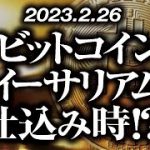ビットコイン・イーサリアム仕込み時！？［2023/2/26］【仮想通貨・BTC・ETH・FX】※2倍速推奨