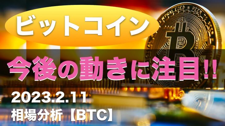 【BTC】一旦調整？今後の動きに注目‼️（2023年2月11日 相場分析）