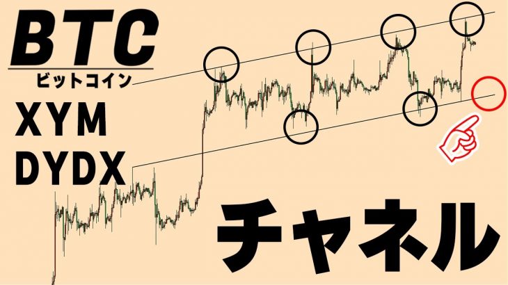 ビットコインは想定通り上昇！ここからはしばらくはレンジ推移濃厚【仮想通貨BTC,XYM,DYDX】