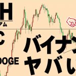 バイナンスCZが500憶の謎送金が相場に与える影響についてもお話しします【仮想通貨ETH,LTC,ABYDOGE,RSS3】