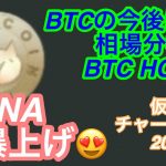 MONAが爆上げ！買いか？！BTCはやや下げで今後の展開は？相場分析はBTC HOOK MONA【仮想通貨チャート分析】2023.2.9