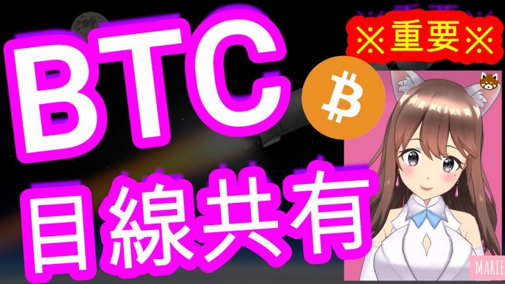 03/02【仮想通貨】BTC相場分析♡5分で聞ける♪インスタは説明欄から登録してね↓↓↓サクッと見れる♪通勤前や寝る前のインプットにおすすめ♡