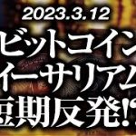 ビットコイン・イーサリアム［2023/3/12］【仮想通貨・BTC・ETH・FX】※2倍速推奨