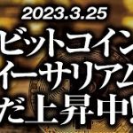 ビットコイン・イーサリアム上昇中！？［2023/3/25］【仮想通貨・BTC・ETH・FX】※2倍速推奨