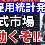 【3/10、雇用統計発表で日本株急落開始か⁉】海運株も売りが加速、日経平均479円安！！米国株が雇用統計前に大暴落！！SVBショックで銀行株の下げがエグイ！！仮想通貨、ビットコインも急落。