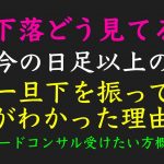 3/3 「この下落大丈夫？！どう見てる？！」ビットコイン分析