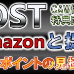 【IOST 】Amazonと提携！購入ポイントの見極め！CAW特典情報配信中【仮想通貨】【アルトコイン】【iost】