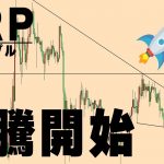 【仮想通貨リップル/XRP】このあと2回の爆上げを期待しています