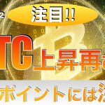 【BTC】ビットコイン上昇再び⁉︎このポイントには注意（2023年4月22日 相場分析）