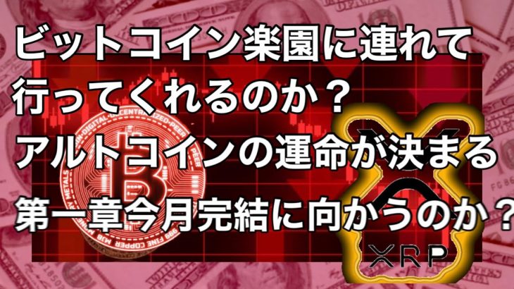 ビットコイン 47000ドルまでの値動きくるのか？大注目