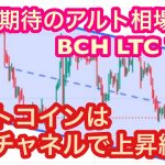 【ビットコインは平行チャネルで上昇継続！】①BTCの相場分析　②注目！ライトコイン・トロン・ビットコインキャッシュ(LTC・TRX・BCH)の相場分析