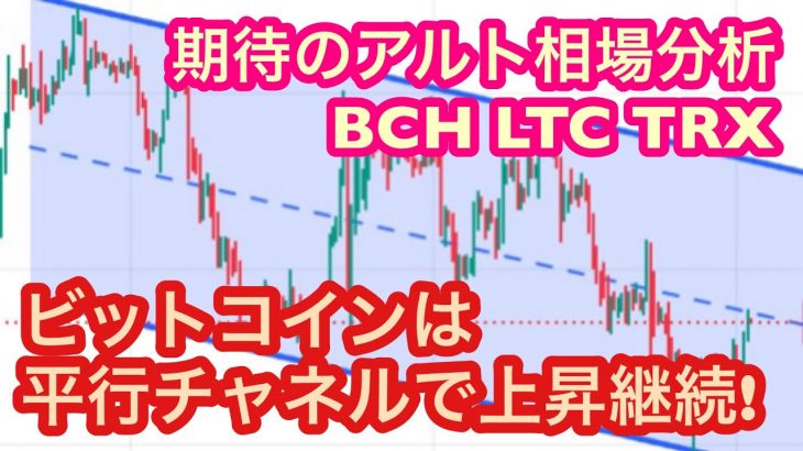 【ビットコインは平行チャネルで上昇継続！】①BTCの相場分析　②注目！ライトコイン・トロン・ビットコインキャッシュ(LTC・TRX・BCH)の相場分析