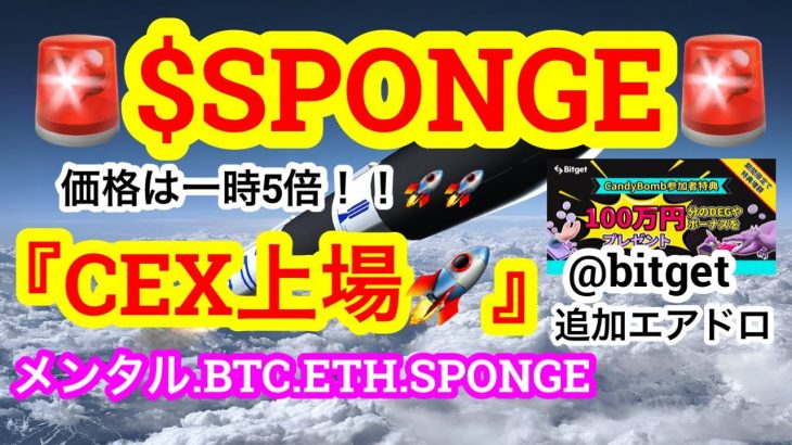 ビットコインが週明け下落‼️あと一つの支えラインはここ❤️‍🔥今日はあの方の登場です😑$SPONGEが取引所に上場Rush🚀まだミームバブルは道半ば⁉️【仮想通貨 BTC.ETH.SPONGE】