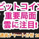 【ビットコイン】①「雲」に注目！重要ラインの解説　②アルトコイン相場分析はXRP,ADA,AVAX,BCH,DOT,ETH,IOST,LINK,LTC,MANA,MATIC,SAND,XLMなど。