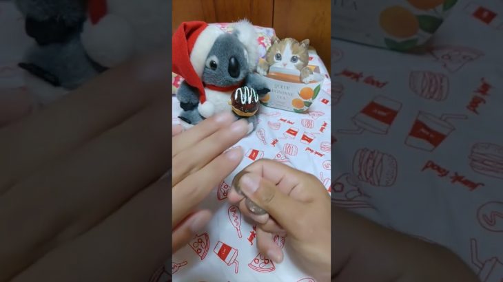 注目コイン#コアラ猫#素人マジック#みてね(*⌒▽⌒*)