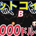 【暴落警戒】ビットコイン（BTC）19000ドルから23000ドルまでの下落は覚悟？