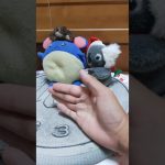 ✌コイン#親指に注目#素人マジック#みてね(*⌒▽⌒*)