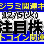 トコジラミ関連キテル！ビットコイン関連株も【12月5日(火)の注目株】明日のストップ高候補株