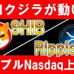 【SHIB】大口クジラが動いた！注目のシバイヌコイン【Ripple】リップルNasdaq上場へ！【仮想通貨】【草コイン】【Ripple】【プレセール】【リップル】【XRP】【億】