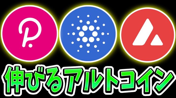 乗り遅れるな。次の爆上げは「コレ」です (注目アルトコイン全て共有します)