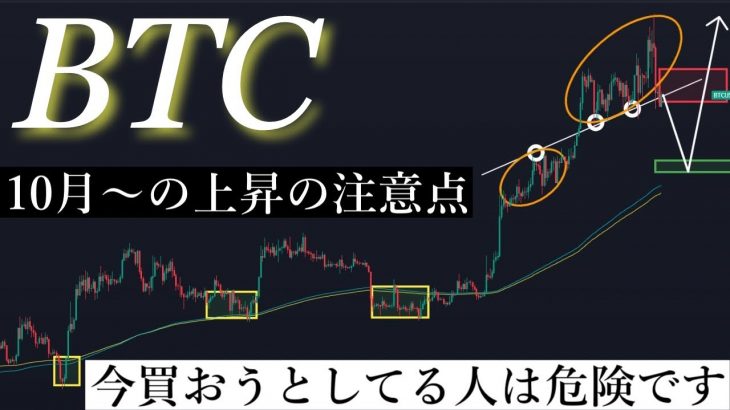 1/15「黄色信号⚠️」買い場はここ！まだまだ暴落が続くと考えている上昇波形の考察と理由/ビットコイン分析