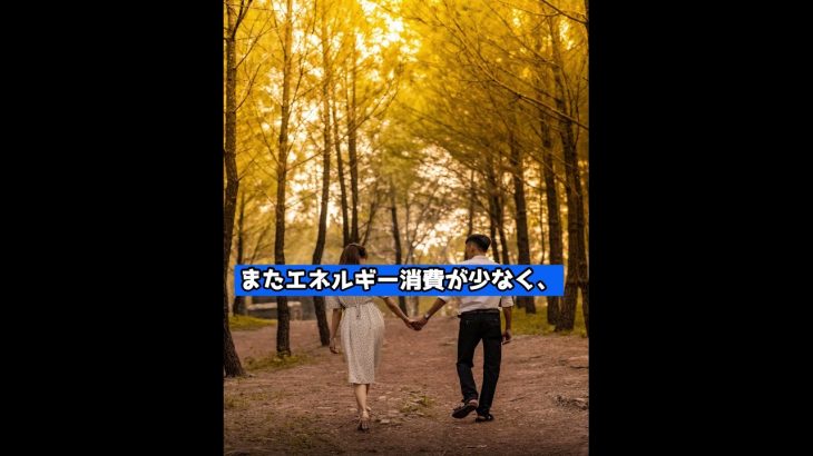 2024年 特に注目すべきアルトコイン10選 その2