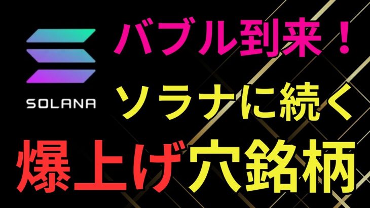 【2024年仮想通貨バブル】ソラナに続く爆上げ穴銘柄とその見分け方をこっそり教えます！