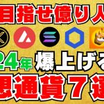 【2024年仮想通貨はどうなる】ランキング形式で買うべきコインがわかる！XRPは？Solanaは？一位は誰の手に？！【1位はSolanaです】