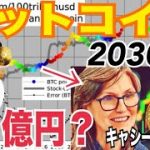 【著名人価格予測まとめ】ビットコイン2030年まで2億円になる可能性！？短期的に下落した理由⚫️⚫️