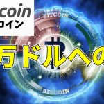 【仮想通貨 Bitcoin】ビットコイン価格が10倍に？Scaramucci氏が語る価格上昇の理由【暗号資産 Crypto】