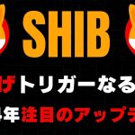 【SHIB（柴犬コイン）】爆上げトリガーなるか！2024年注目のアップデート5